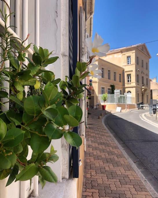 Studios Du Marin Sur Port De La Ciotat Exterior foto